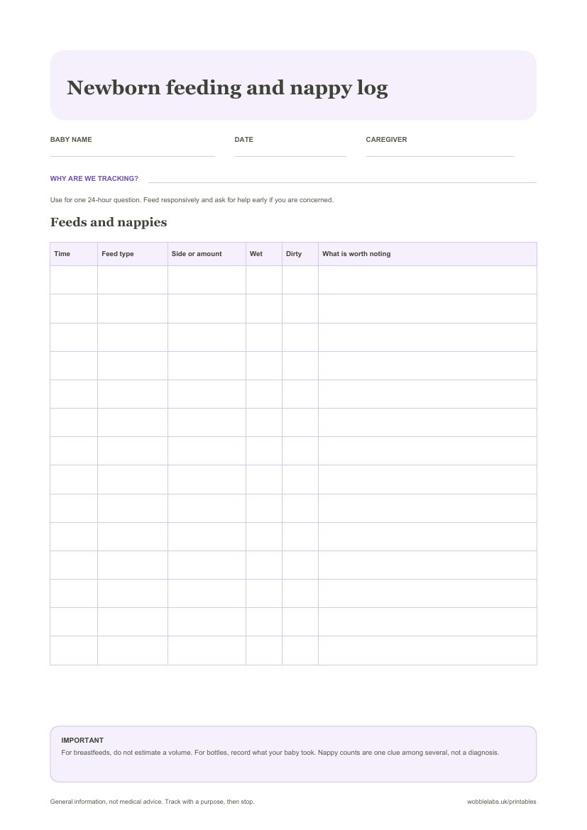 Preview of the Printable newborn feeding and nappy log PDF